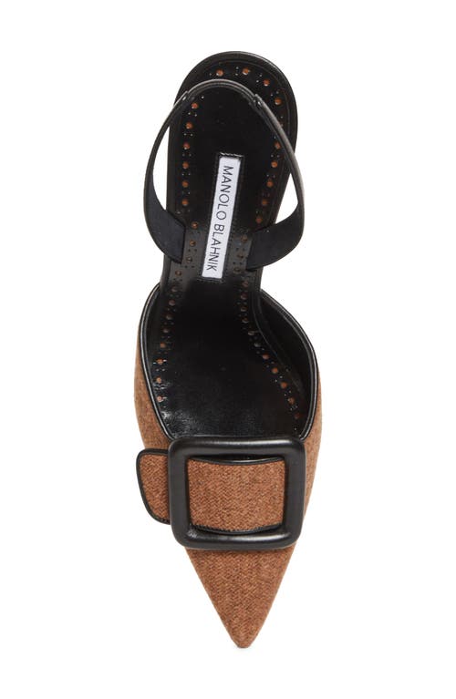 Manolo Blahnik Mayslibi Buckle Slingback Pump In Brown