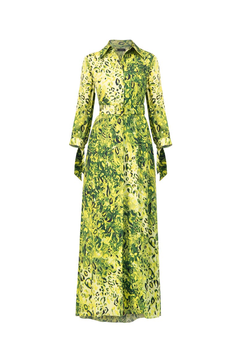 Long Sleeve Printed Maxi Shirt Dress, Alternate, color, Green