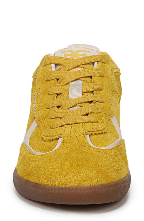 Sam Edelman Kallen Sneaker Saffron Yellow Suede In Saffron Yellow