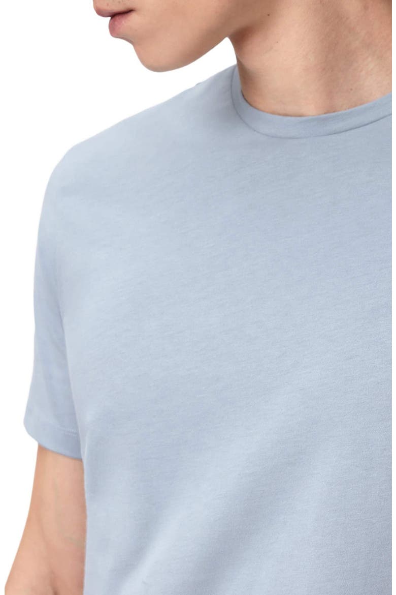 Brace Cotton T-Shirt, Alternate, color, MISTY BLUE