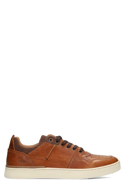 Liverpool La Launch Sneaker In Cognac