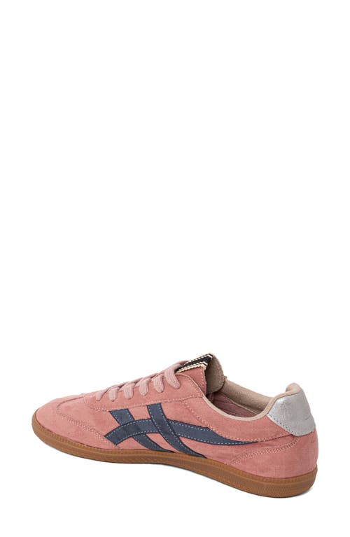 Shushop Sasha Sneaker In Pink