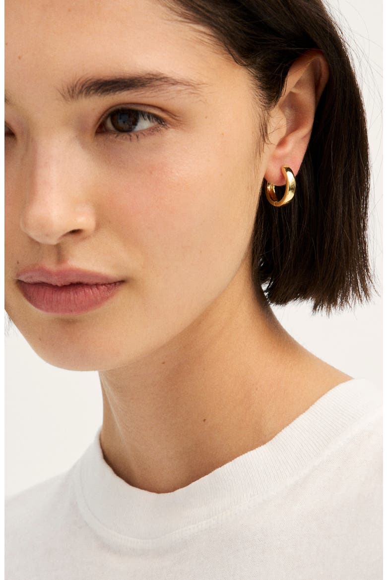 Small Huggie Hoop Earrings, Alternate, color, WARM GOLD