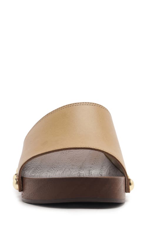 Schutz Shayla Slide Sandal In Purple