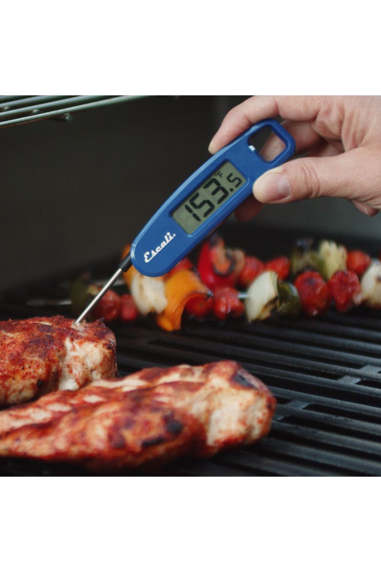 Compact Folding Digital Thermometer, Alternate, color, Blue