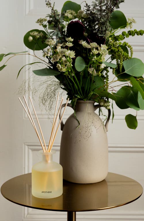 Apotheke Verdant Garden Reed Diffuser In Translucent