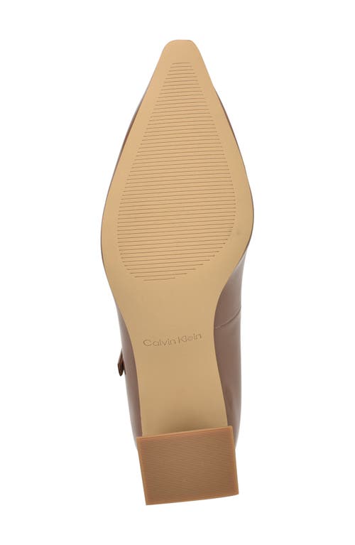 Calvin Klein Naprina Pointed Toe Mary Jane Pump In Brown