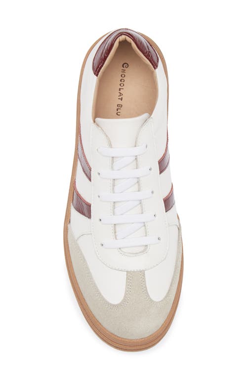 Chocolat Blu Valox Sneaker In Multi