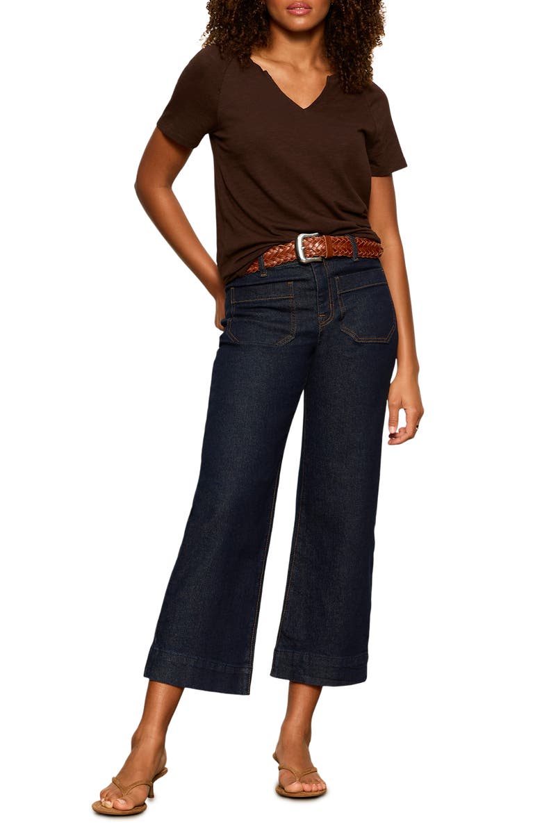 Sanctuary Notch V-Neck Cotton Blend T-Shirt, Alternate, color, Rich Soil Brown