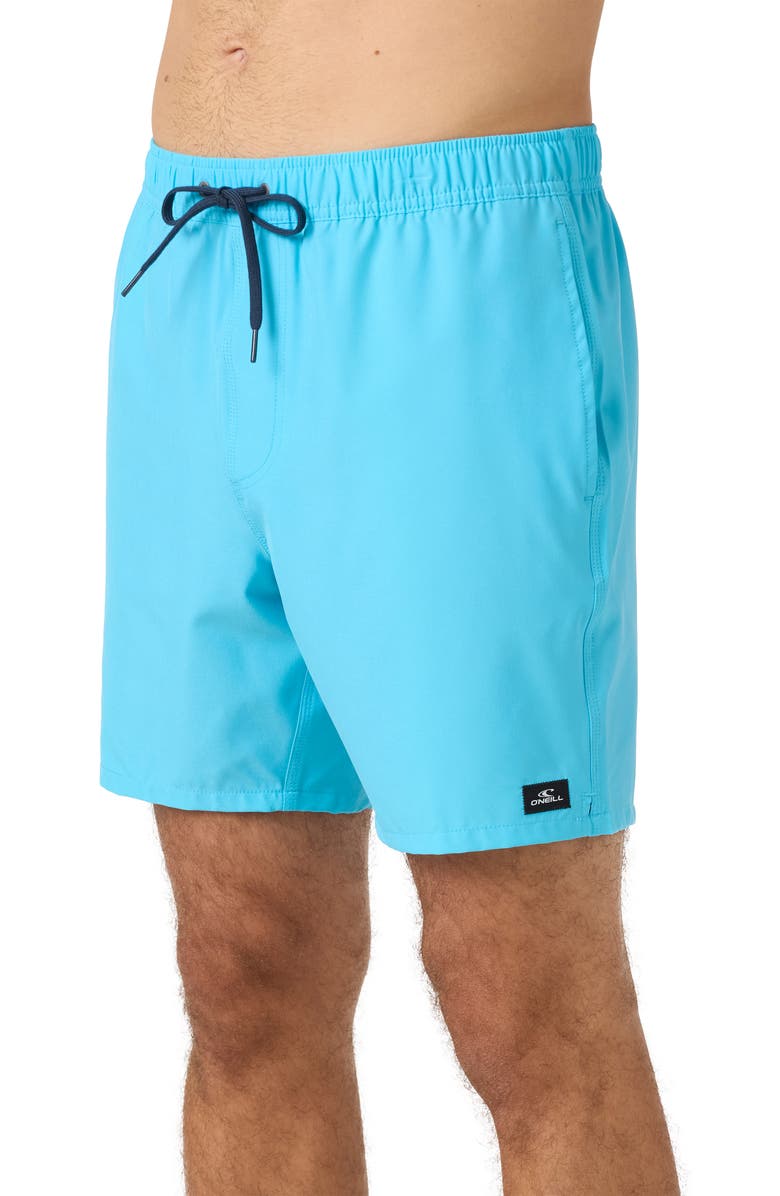 O'Neill Lennox Hermosa Swim Trunks, Alternate, color, Aquarius