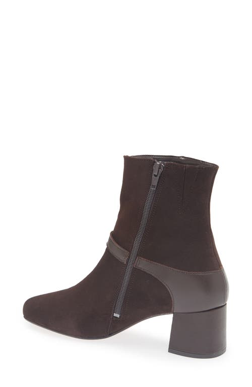 Bruno Magli Danica Square Toe Bootie In Brown