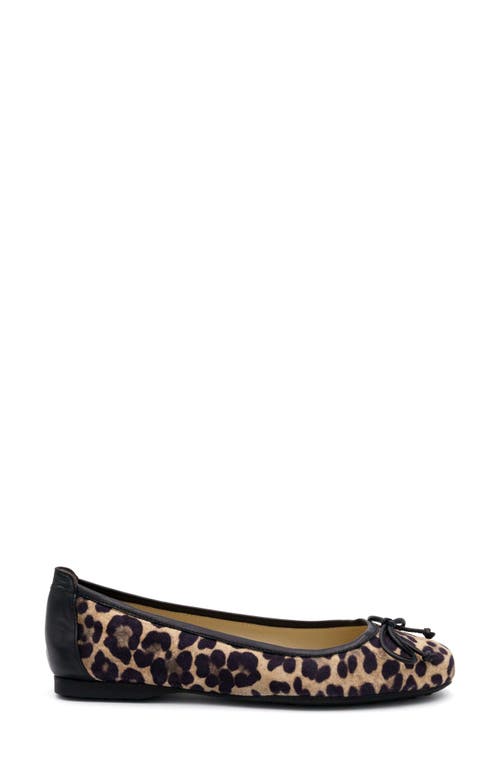 AMALFI BY RANGONI AMALFI BY RANGONI DANA LEOPARD PRINT BALLET FLAT