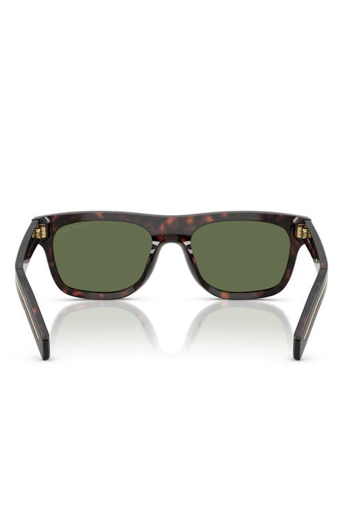 Prada Acetate Prb12s Sunglasses In 17n20g55 Brown Tort