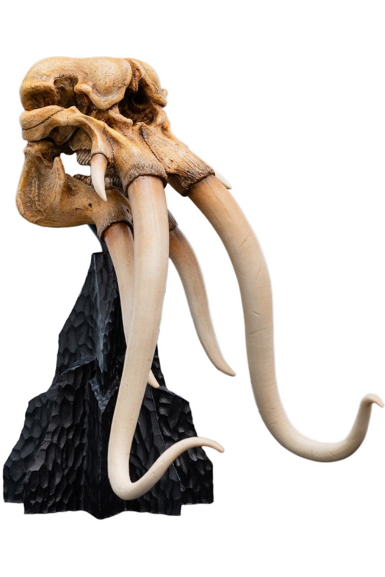 Lord Of The Rings Trilogy - Skull Of A Mumak, Alternate, color, Multicolor