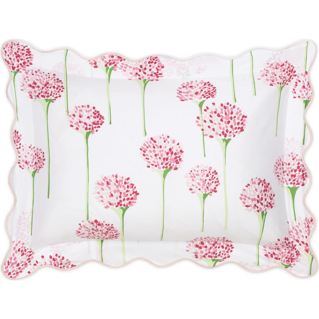 Matouk Floral Cotton Percale Sham In Peony