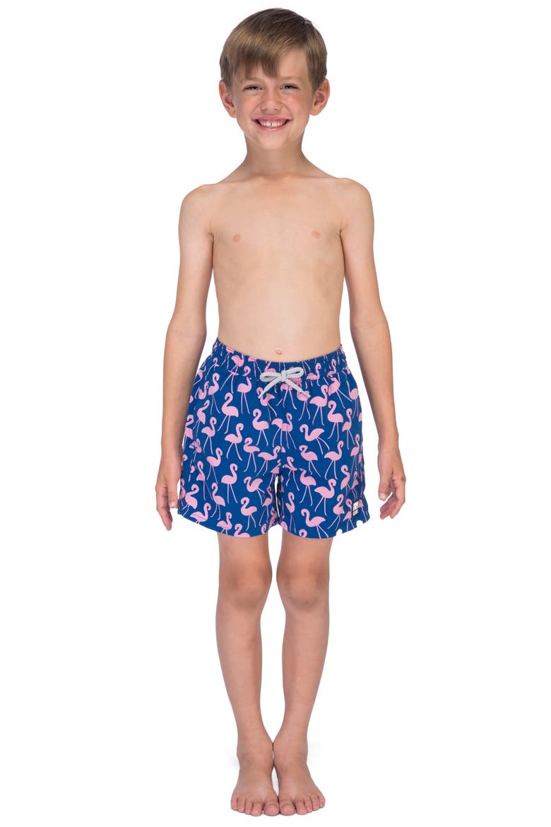 Kids' Flamingo Print Swim Trunks, Alternate, color, ROSE BLUE