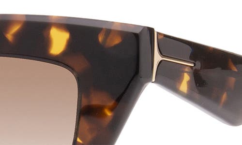 Dezi On Read 49mm Cat Eye Sunglasses