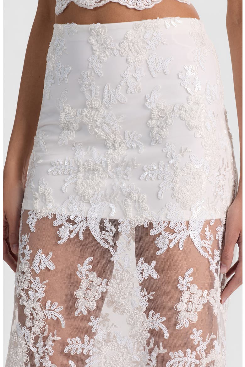 Medine Lace Embroidery Slip Skirt, Alternate, color, OFF WHITE