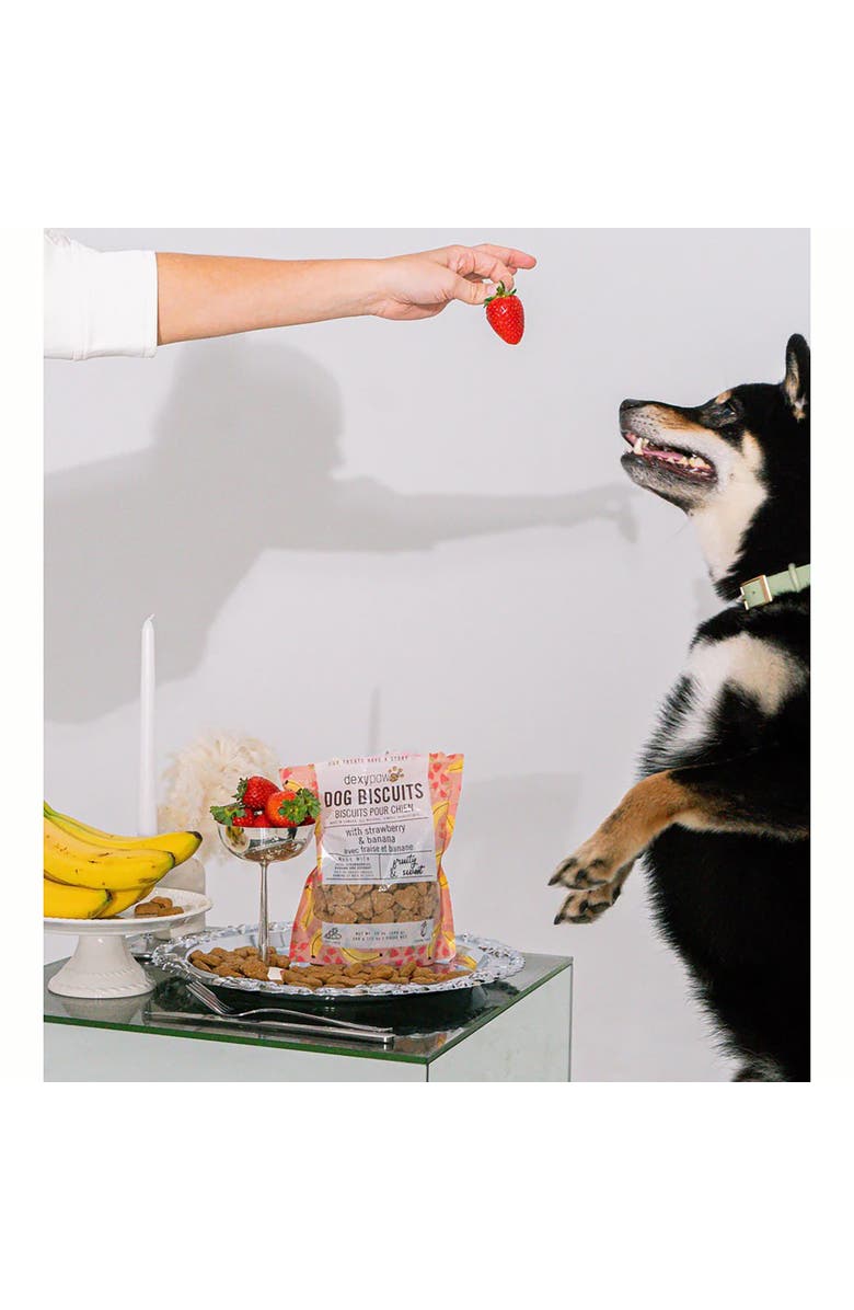 Dexypaws Strawberry, Banana & Coconut Dog Biscuits 12Oz Natural Pet Treats, Alternate, color, 