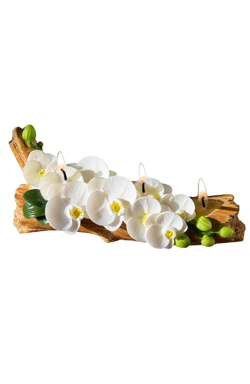 Southlake Gifts Orchid Arrangement Candle In White