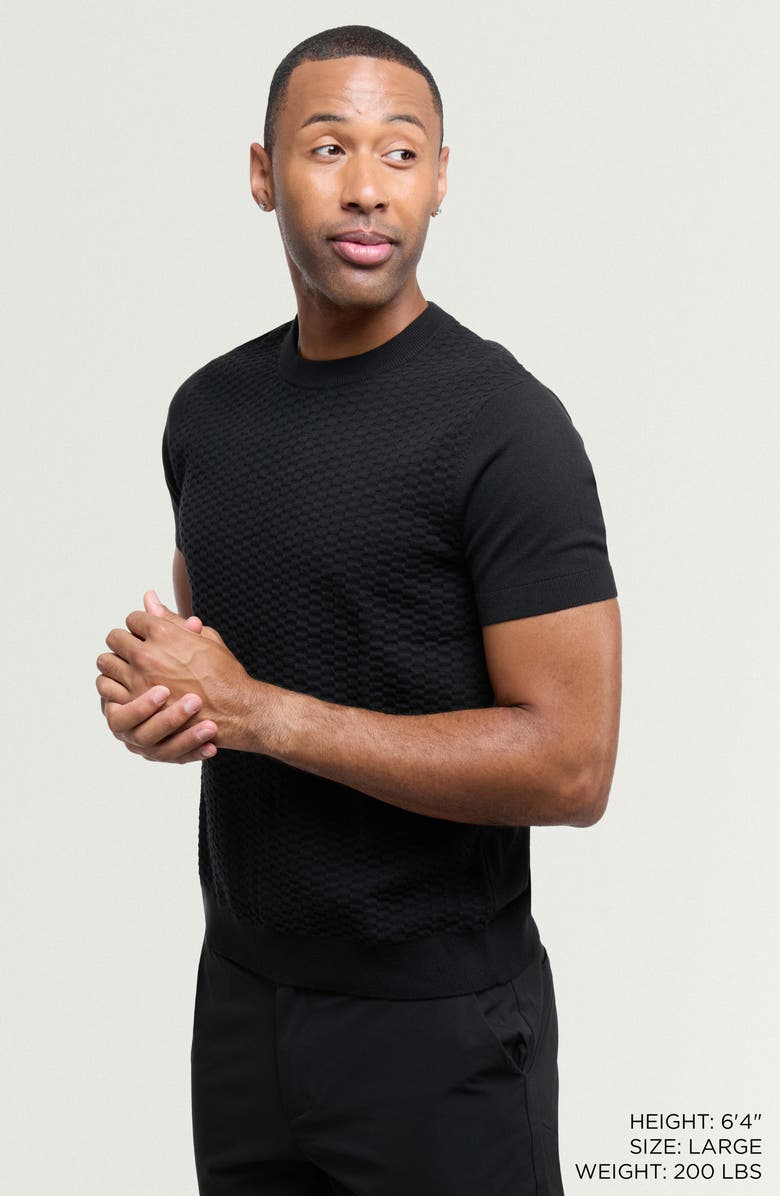 XRAY Check Short Sleeve Sweater, Alternate, color, Black