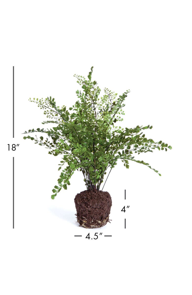 Napa Home & Garden Maiden Hair Drop-In 18", Alternate, color, Green