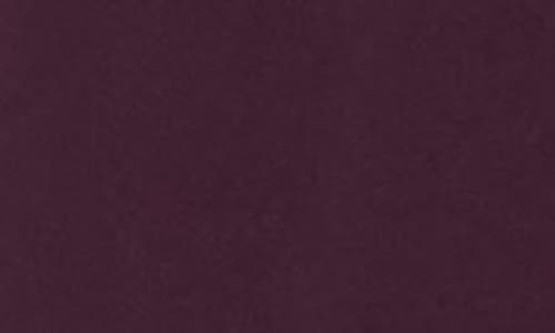 Apana Villa Cargo Joggers In Purple