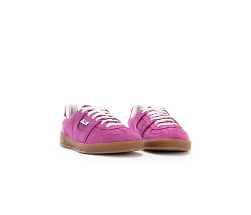 P448 Monza Sneaker In Punch