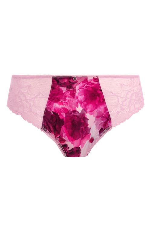 Fantasie Pippa Briefs In Raspberry Ripple