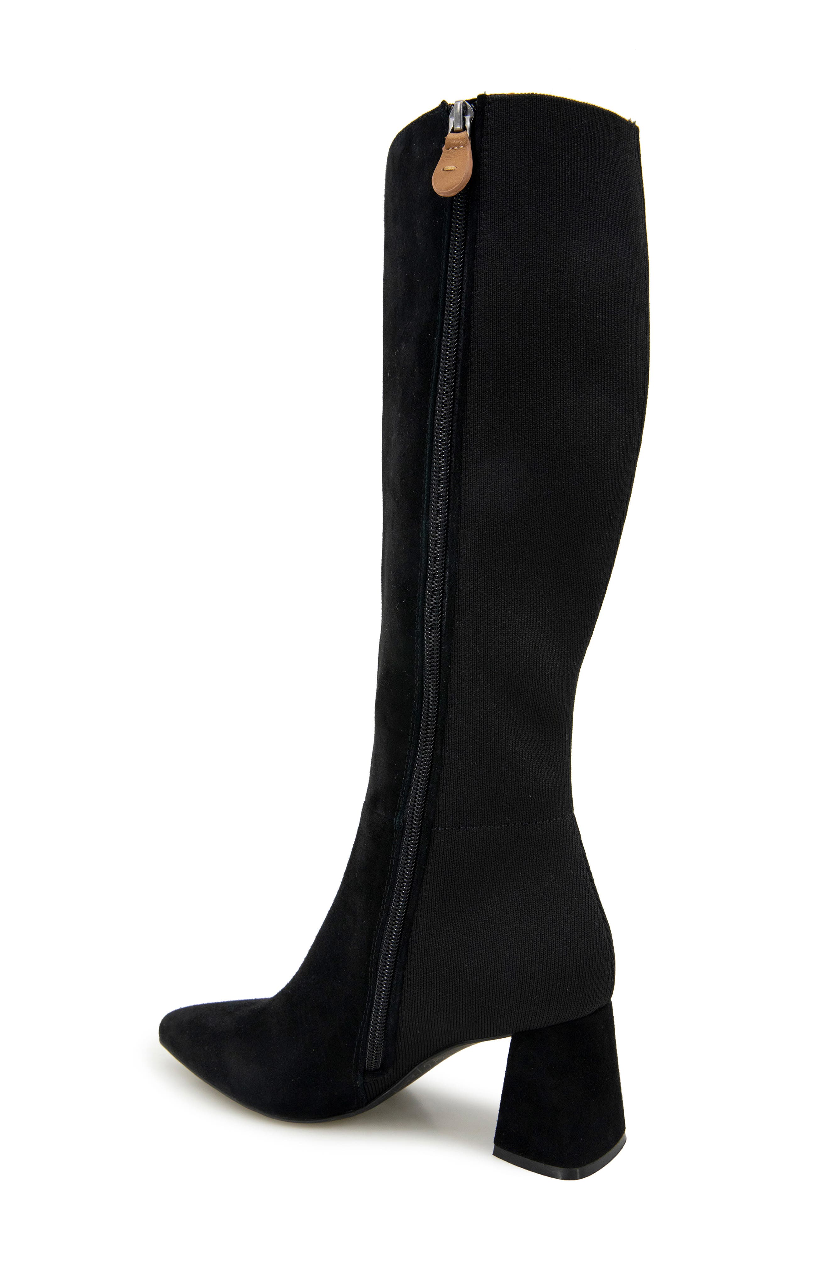 Gentle Souls Dionne Pointed Toe Knee High Boot, Alternate, color, 