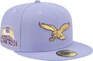 New Era Men's New Era Light Purple Philadelphia Eagles Lavender Bloom 59FIFTY Fitted Hat