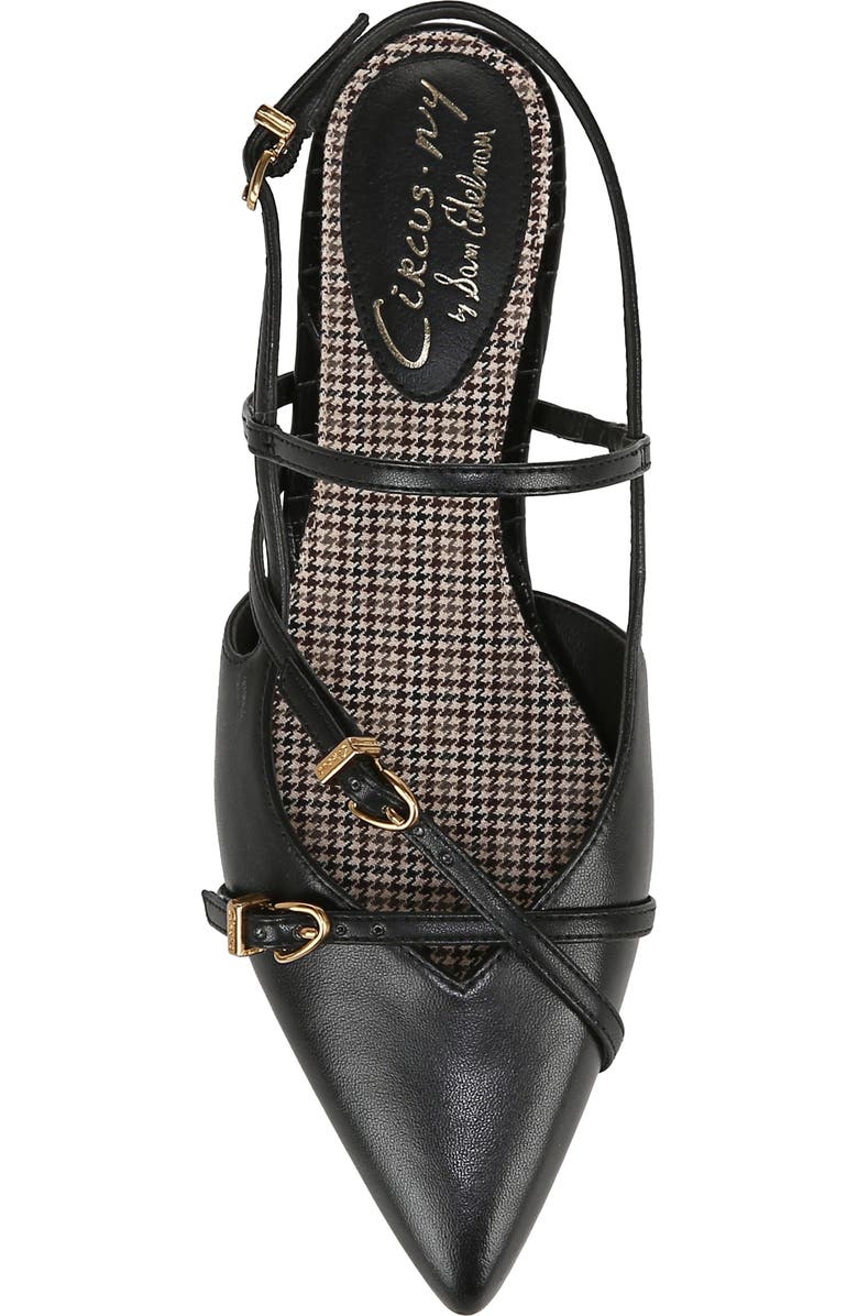 Circus NY by Sam Edelman Lindley Pointed Toe Slingback Sandal, Alternate, color,