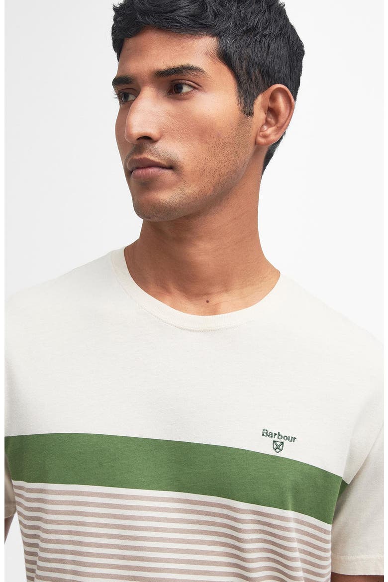 Braeside Stripe T-Shirt, Alternate, color, RAINY DAY
