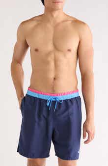 Nike Volley Swim Trunks
