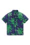 selected Green Palm Trees