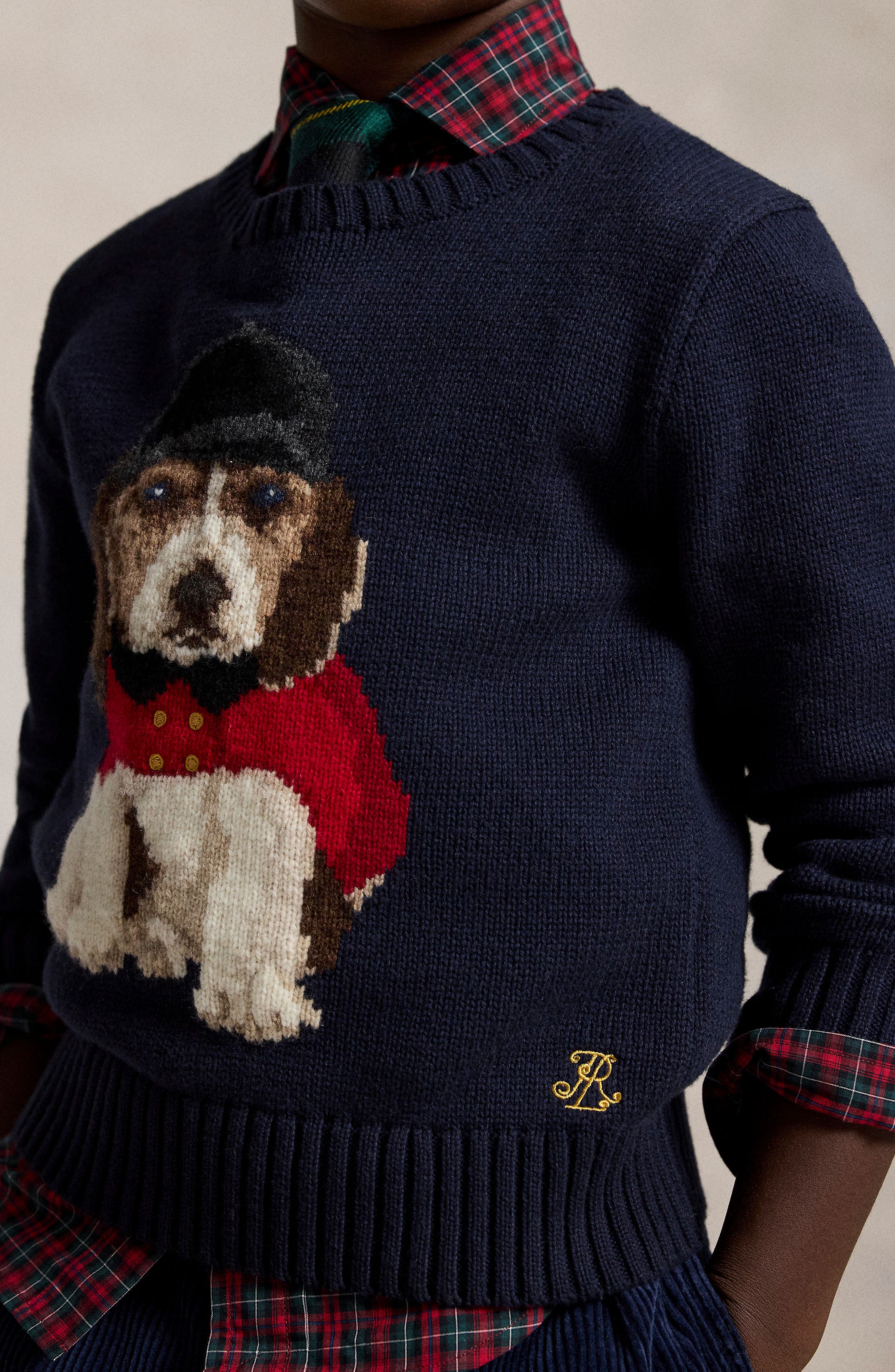 Polo Ralph Lauren Kids' Beagle Intarsia Cotton Sweater | Nordstrom