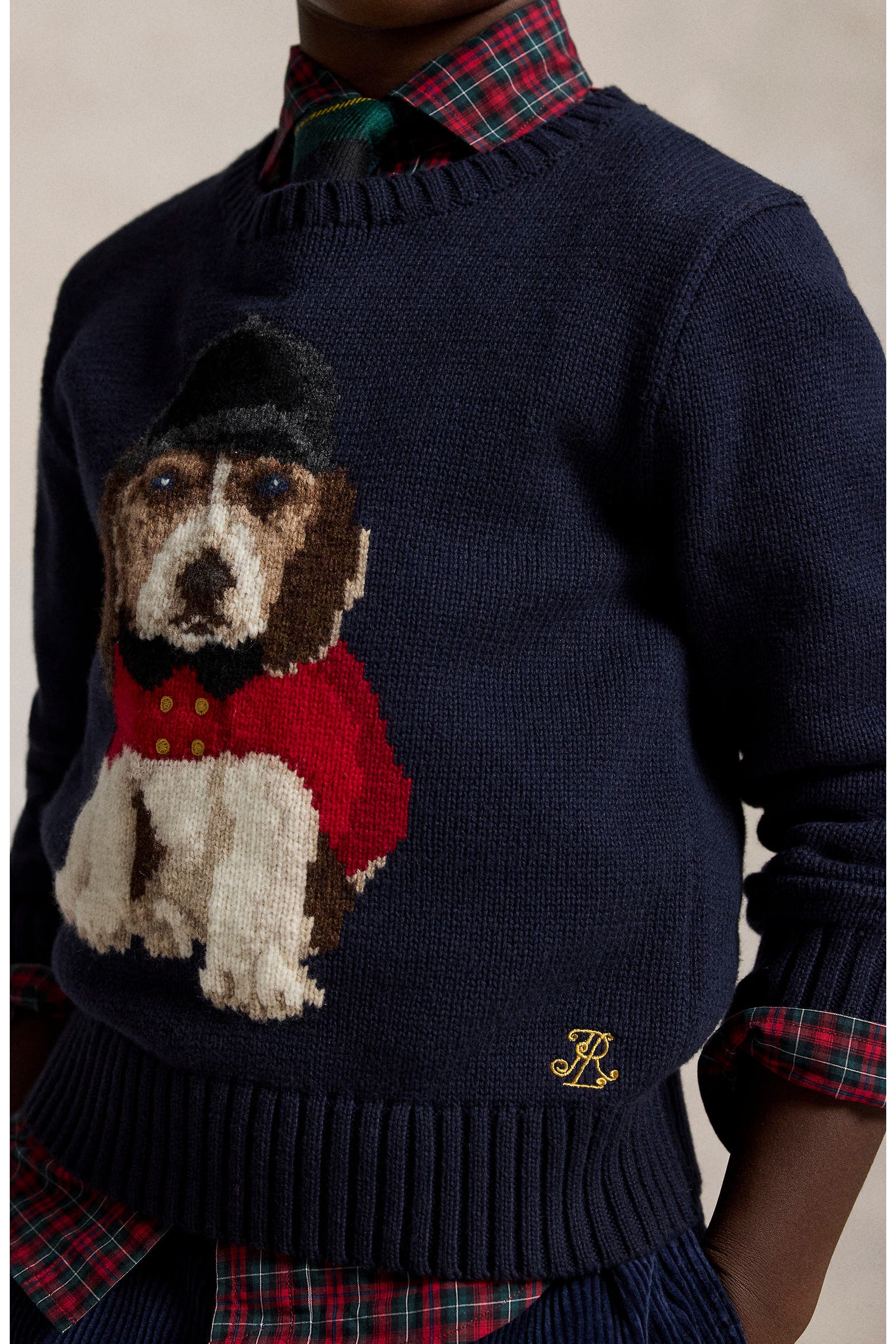 Beagle Coding Polo Ralph Lauren Kids' Beagle Intarsia Cotton Sweater | Nordstrom