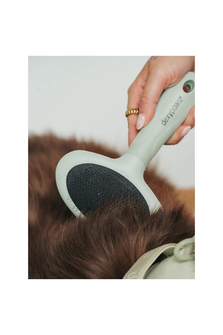 Pet Slicker Brush, Large, Sage Green, Dog & Cat Grooming Tool, Alternate, color, Green