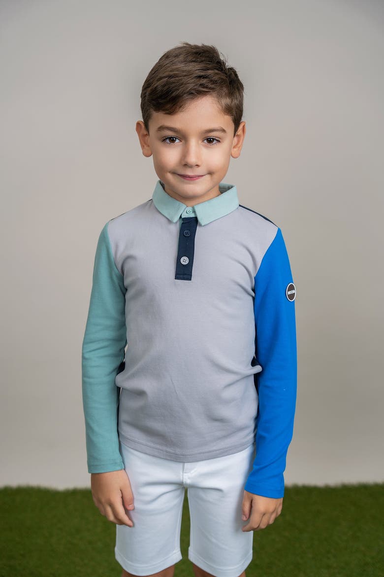 Woven Long Sleeve Contrast Polo, Alternate, color, Navy/Grey