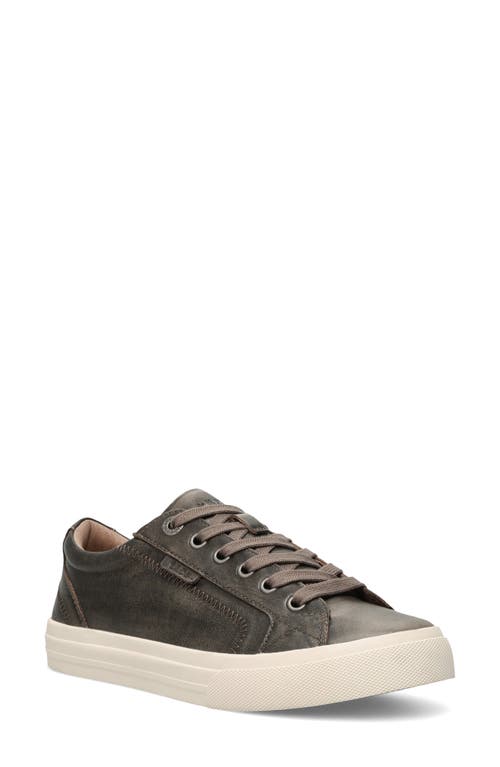 Taos Plim Soul Luxe Sneaker In Black