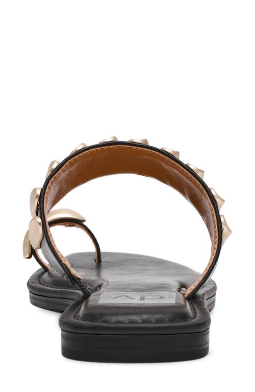 Dolce Vita Dv By Jayson Sandal In Black