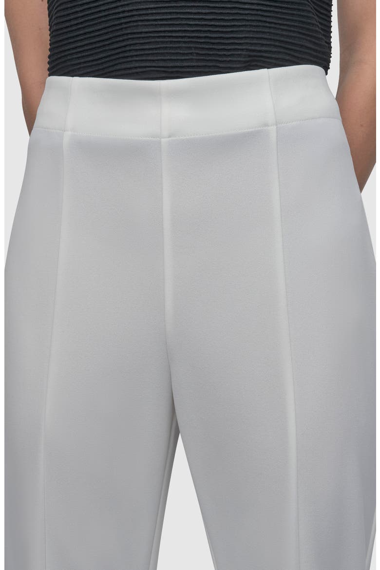Wide Leg Scuba Knit Pants, Alternate, color, IVORY