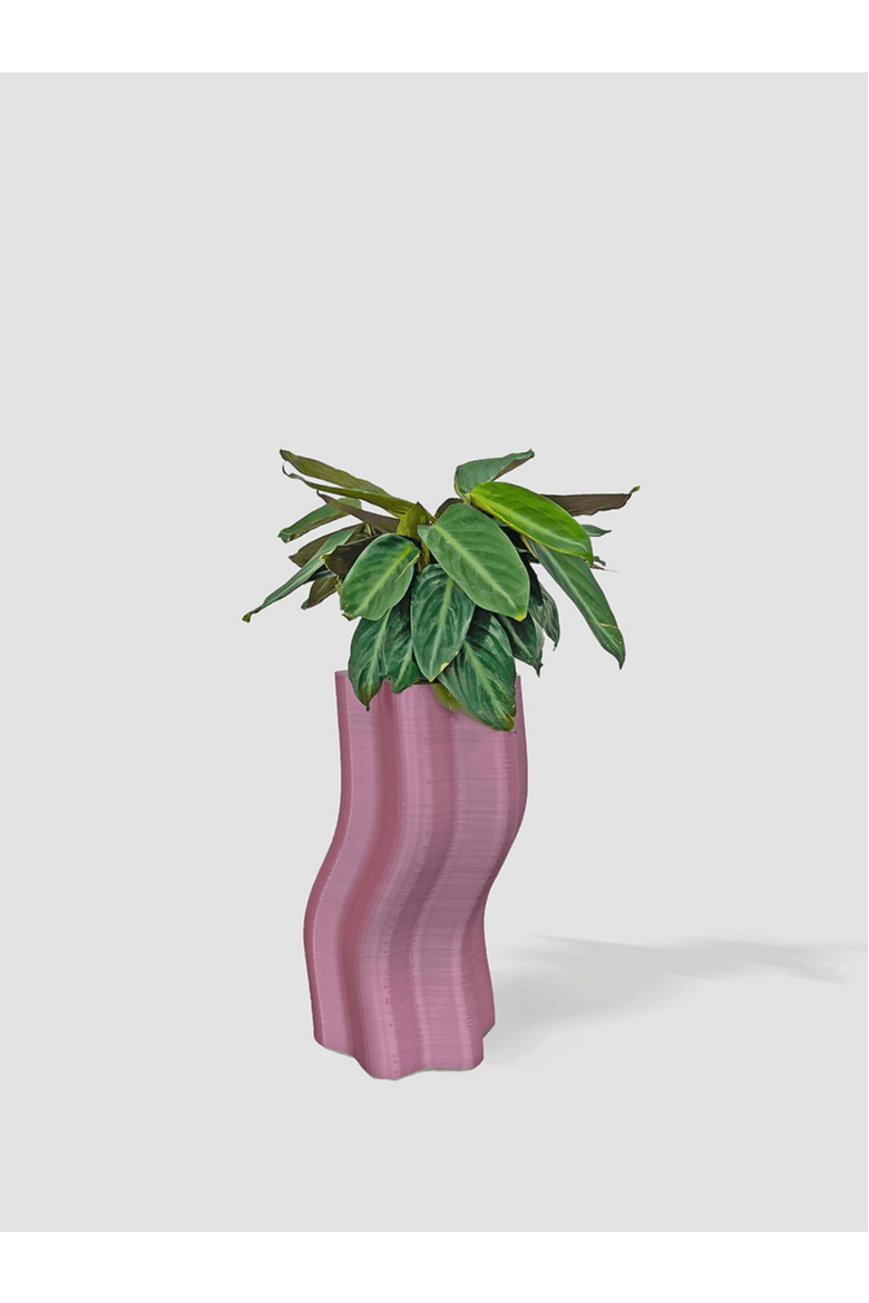 Frosting Large Planters, Main, color, Pink
