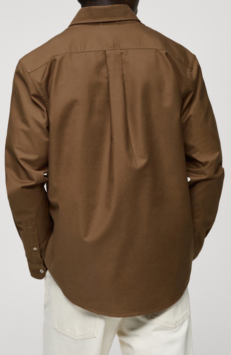 MANGO Cotton Oxford Button-Down Shirt, Alternate, color, Brown