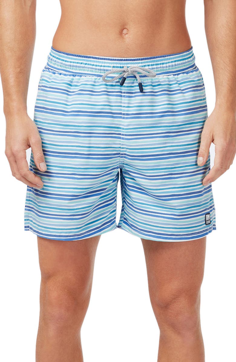 Tom & Teddy Stripe Swim Trunks, Main, color,