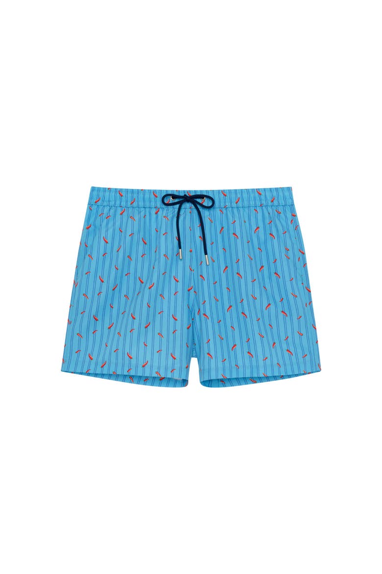 Espelette Beach Boxer, Main, color, Turquoise Print