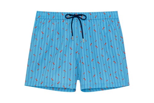 Hom Espelette Beach Boxer In Turquoise Print