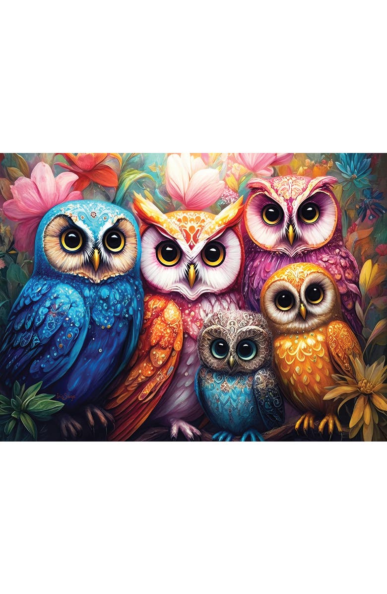 Sunsout Whimsical Owls 1000 piece Jigsaw Puzzle for Adults, Alternate, color, Multicolor