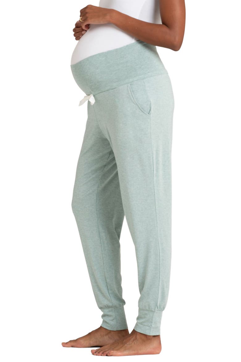 Assorted 2-Pack Maternity Joggers, Alternate, color, NAVY & SAGE