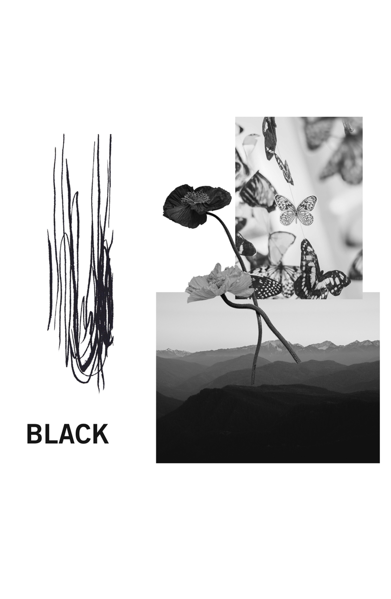 Siia Cosmetics Emphasizer Liquid Eyeliner, Alternate, color, 